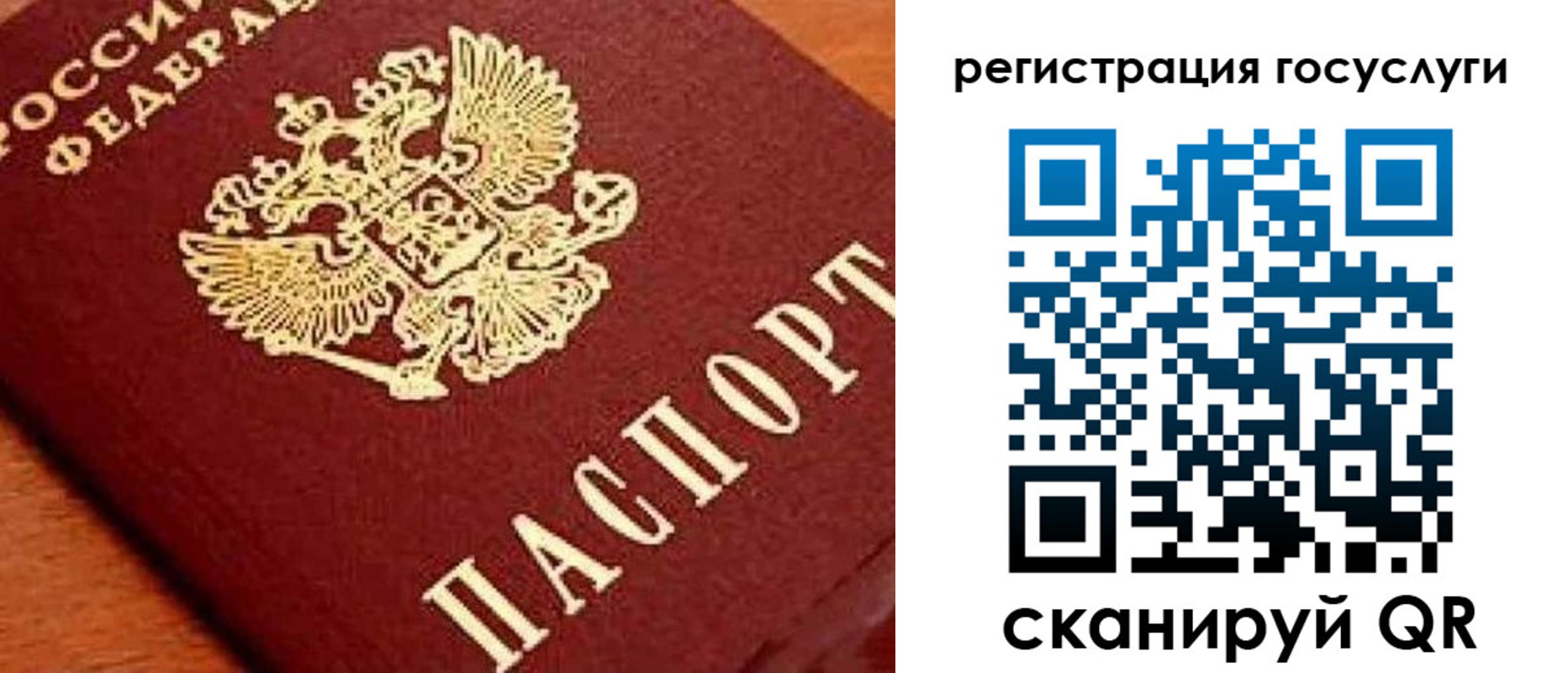 временная регистрация недорого в Камчатской области